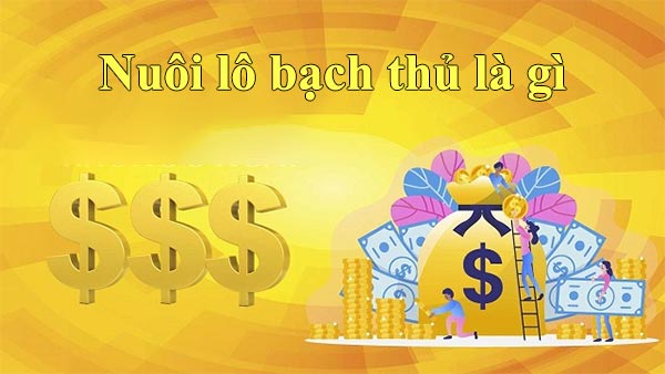 Kinh nghiệm nuôi lô bạch thủ