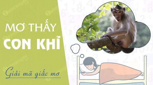 Mơ thấy Khỉ đánh con gì