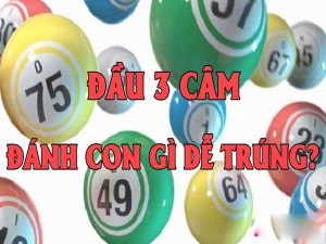 đầu 3 câm đánh số gì