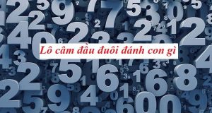 đầu đuôi câm nên đánh con gì 