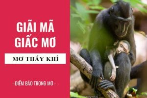 Nằm mơ thấy con khỉ đánh số mấy
