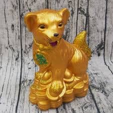 mơ chó làm bằng vàng