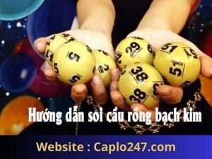 Bắt đề rồng bạch kim không phải là mê tín hay cảm tính, mà là kết quả của sự tổng hợp dữ liệu, phân tích logic và ứng dụng thống kê.