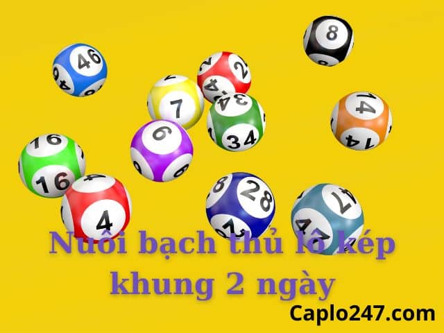 Bí Kíp Nuôi Bạch Thủ Lô Kép Khung 2 Ngày Bất Bại