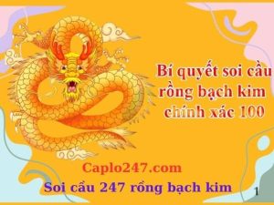 Trong giới chơi số, bắt đề rồng bạch kim là một trong những phương pháp được cộng đồng lô đề Việt tin tưởng và sử dụng rộng rãi.