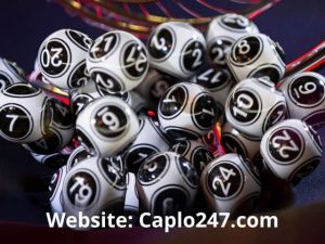 Đặc biệt, hãy truy cập Caplo247.com để nhận dàn số miễn phí mỗi ngày và tham khảo các phân tích chuẩn xác từ cộng đồng Soi Cầu Rồng Bạch Kim